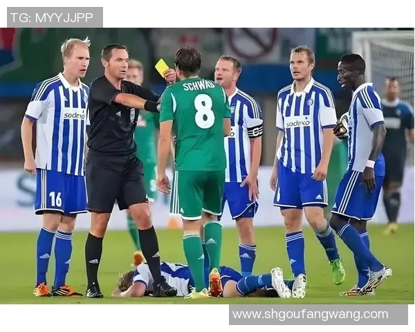 哈卡与赫尔辛基的精彩对决揭示芬兰足球的魅力与竞争力