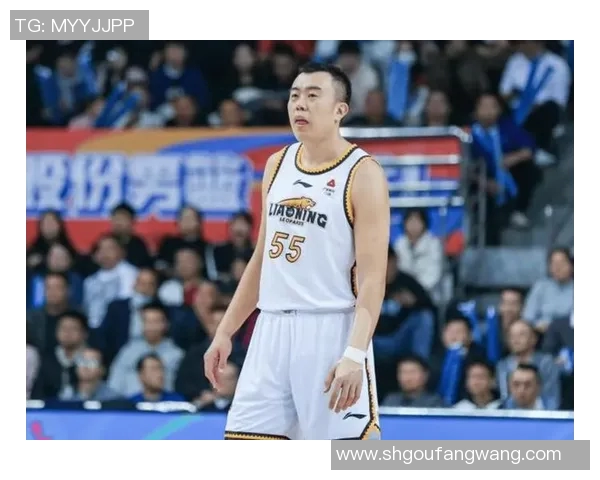 韩德君：从篮球场上的巨人到中国篮球的精神象征与领军人物