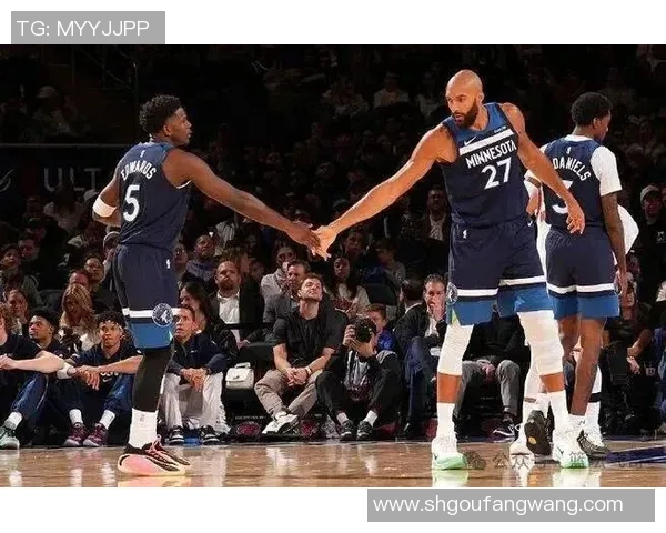 2018年NBA常规赛鹈鹕与森林狼精彩对决回顾与分析